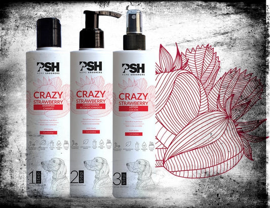 Set CRAZY STRAWBERRY - shampoo, conditioner, lotion