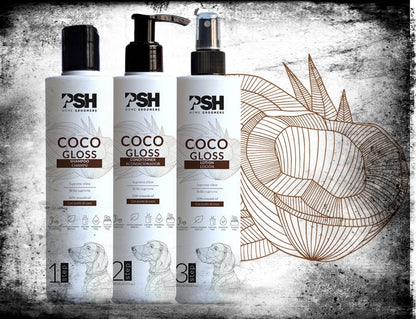 Rinkinys COCONUT GLOSS - šampūnas, kondicionierius, losjonas - PSH Kosmetika