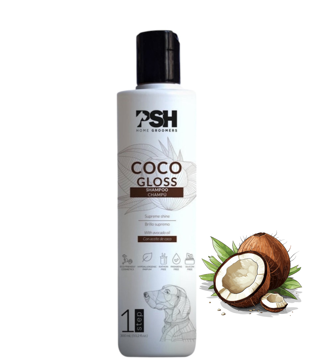 COCONUT GLOSS žvilgantis šampūnas - PSH Kosmetika