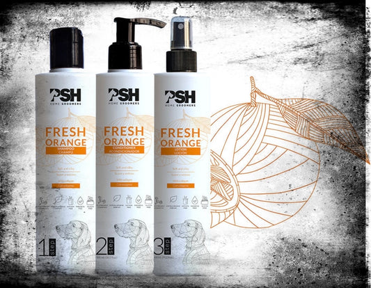 Set FRESH ORANGE - shampoo, conditioner, lotion