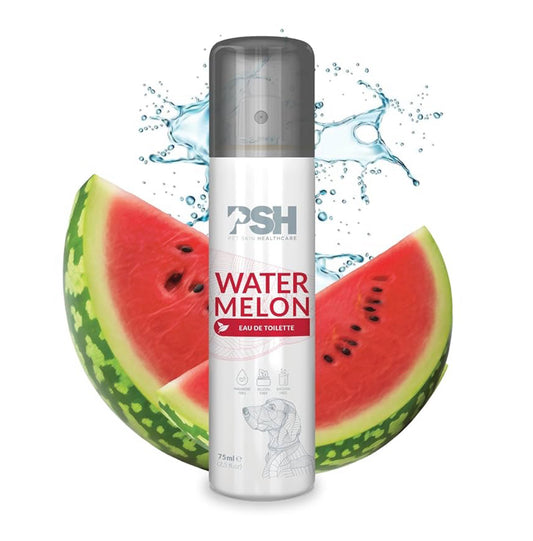 WATERMELON perfume