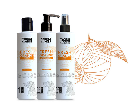 Set FRESH ORANGE - shampoo, conditioner, lotion