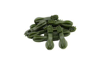 Skanukai dental brushes (MINT)